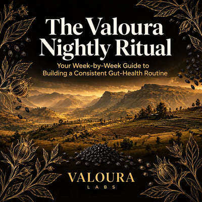 Book cover for 'The Valoura Nightly Ritual' by Valoura Labs, featuring a golden mountain landscape at sunrise, with gold leaf botanical illustrations and a pile of dark cacao beans at the bottom.