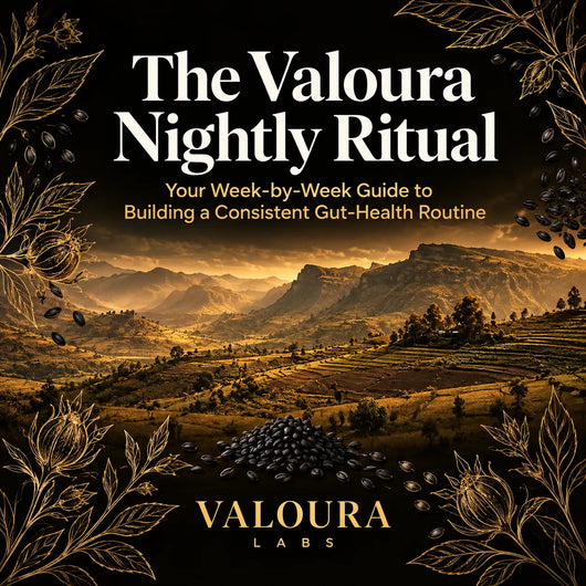Book cover for 'The Valoura Nightly Ritual' by Valoura Labs, featuring a golden mountain landscape at sunrise, with gold leaf botanical illustrations and a pile of dark cacao beans at the bottom.